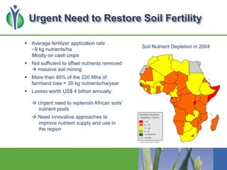 Urgent Need to Restore Soil Fertility
 Average fertilizer application rate
~9 kg nutrients/ha
Mostly on cash crops
 Not ...