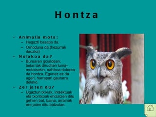 Hontza <ul><li>Animalia mota: </li></ul><ul><ul><li>Hegazti basatia da. </li></ul></ul><ul><ul><li>Ornoduna da.(hezurrak d...