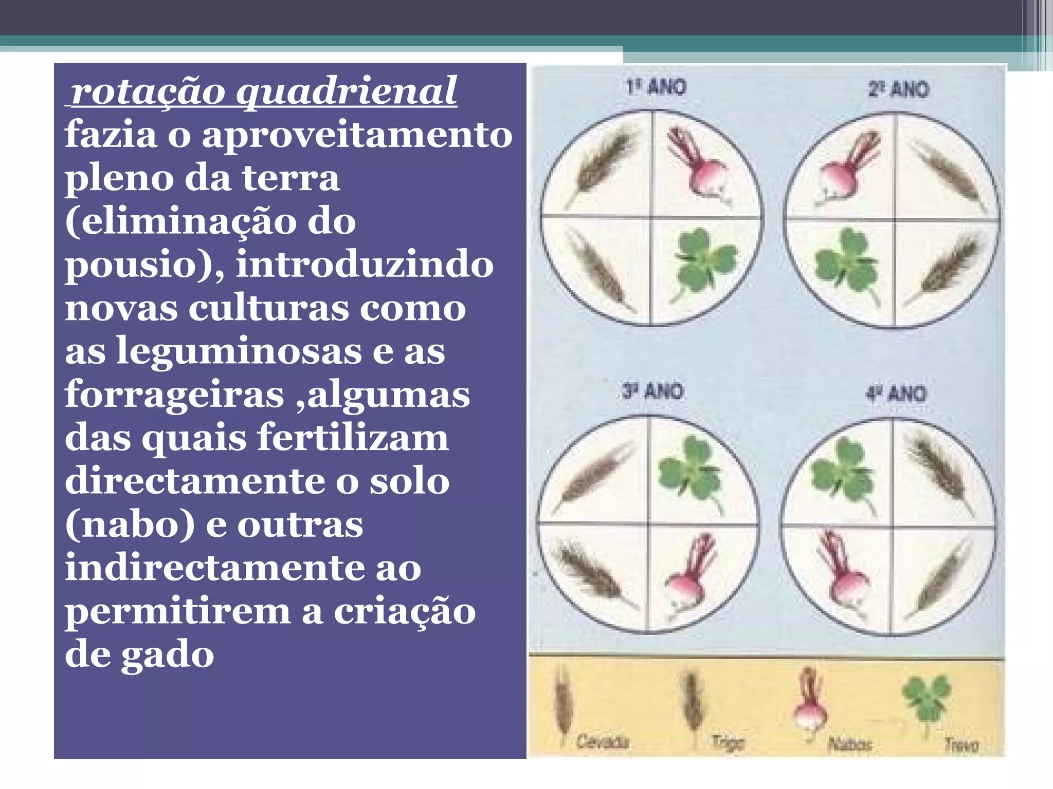 rotação quadrienal
fazia o aproveitamento
pleno da terra
(eliminação do
pousio), introduzindo
novas culturas como
as leguminosas e as
forrageiras ,algumas
das quais fertilizam
directamente o solo
(nabo) e outras
indirectamente ao
permitirem a criação
de gado
 