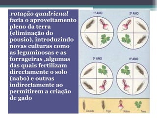 rotação quadrienal
fazia o aproveitamento
pleno da terra
(eliminação do
pousio), introduzindo
novas culturas como
as leguminosas e as
forrageiras ,algumas
das quais fertilizam
directamente o solo
(nabo) e outras
indirectamente ao
permitirem a criação
de gado
 