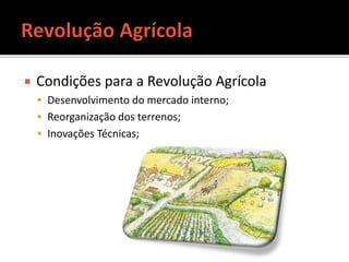  Condições para a Revolução Agrícola
 Desenvolvimento do mercado interno;
 Reorganização dos terrenos;
 Inovações Técnicas;
 