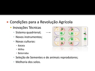  Condições para a Revolução Agrícola
 Inovações Técnicas
▪ Sistema quadrienal;
▪ Novos instrumentos;
▪ Novas culturas:
▪ Batata
▪ Milho
▪ Beterraba
▪ Seleção de Sementes e de animais reprodutores;
▪ Melhoria dos solos.
 