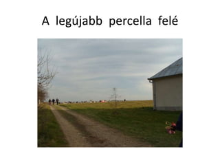 A legújabb percella felé
 