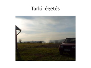 Tarló égetés
 