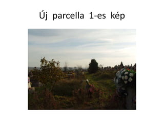 Új parcella 1-es kép
 