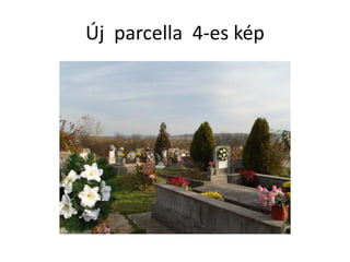 Új parcella 4-es kép
 