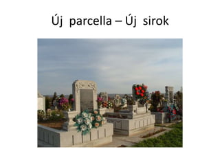 Új parcella – Új sirok
 