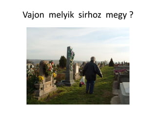 Vajon melyik sirhoz megy ?
 