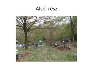 Alsó rész
 