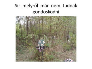 Sir melyről már nem tudnak
gondoskodni
 