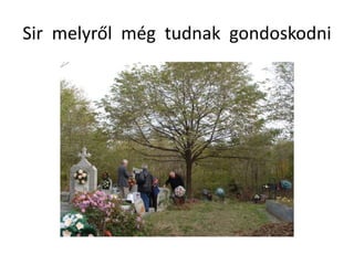 Sir melyről még tudnak gondoskodni
 