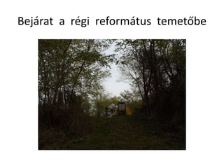 Bejárat a régi református temetőbe
 