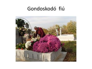 Gondoskodó fiú
 