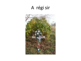 A régi sir
 
