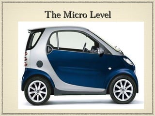The Micro Level 