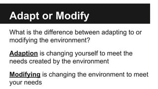 Human-Environment Interaction | PDF