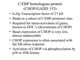 C/EBP homologous protein
        (CHOP/GADD 153)
• b-Zip Transcription factor of 27 kD
• Binds to a subset of C/EBP promoter sites
• Required for stress-activation of genes,
  known as DOC’s (downstream of CHOP)
• Basal expression of CHOP is very low,
  almost undetectable.
• CHOP expression is often associated with
  the ER-stress response
• Activation of CHOP via phosphorylation by
  p38 or JNK-kinase
 
