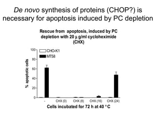 De novo synthesis of proteins (CHOP?) is
necessary for apoptosis induced by PC depletion
                                Rescue from apoptosis, induced by PC
                                depletion with 20 µ g/ml cycloheximide
                                                 (CHX)
                          100         CHO-K1
                                      MT58
                           80
      % apoptotic cells




                           60

                           40

                           20

                            0
                                  -       CHX (0)   CHX (8)   CHX (16)   CHX (24)
                                      Cells incubated for 72 h at 40 ° C
 