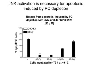 JNK activation is necessary for apoptosis
        induced by PC depletion
                             Rescue from apoptotis, induced by PC
                             depletion with JNK inhibitor SP600125
                                             (40 µ M)
                       100       CHO-K1
                                 MT58
   % apoptotic cells




                        80

                        60

                        40

                        20

                         0
                             -        SP (0)    SP (8)    SP (16)   SP (24)
                                  Cells incubated for 72 h at 40 ° C
 