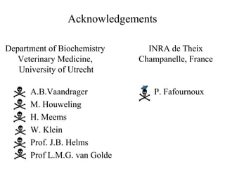 Acknowledgements

Department of Biochemistry      INRA de Theix
   Veterinary Medicine,       Champanelle, France
   University of Utrecht

      A.B.Vaandrager             P. Fafournoux
      M. Houweling
      H. Meems
      W. Klein
      Prof. J.B. Helms
      Prof L.M.G. van Golde
 