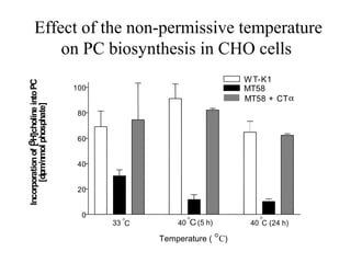 Effect of the non-permissive temperature
                 on PC biosynthesis in CHO cells
                                                                         W T-K1
Incorporation of [3H]choline into PC




                                       100                               MT58
                                                                         MT58 + CT α
      [dpm/nmol phosphate]




                                        80


                                        60


                                        40


                                        20


                                         0
                                                                            °
                                             33 °C       40 °   (5 h)     40 C (24 h)

                                                     Temperature ( °C)
 