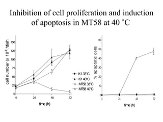 Inhibition of cell proliferation and induction
                                     of apoptosis in MT58 at 40 ˚C
                                                                                                60
cell number (x 10 4 ) /dish




                              150




                                                                          % a p optotic cells
                                                                                                50
                              125

                              100                                                               40


                              75                                                                30

                                                                  K1 33°C
                              50                                                                20
                                                                  K1 40°C
                              25                                  MT58 33°C                     10
                                                                  MT58 40°C
                               0                                                                0
                                    0   24              48   72

                                             time (h)                                                time (h)
 