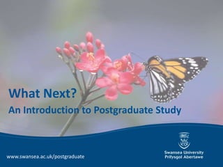 What Next?
An Introduction to Postgraduate Study



www.swansea.ac.uk/postgraduate
 
