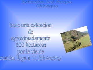 Extencion Del Parque  Chicaque tiene una extencion  de  aproximadamente 300 hectareas por la via de  soacha llega a 11 kilometros 