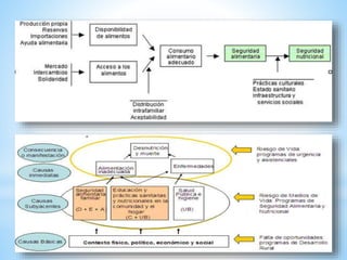 seguridad alimentaria
