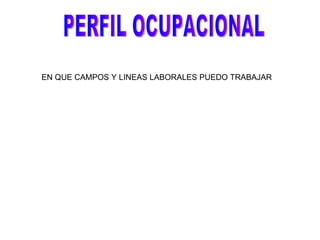PERFIL OCUPACIONAL EN QUE CAMPOS Y LINEAS LABORALES PUEDO TRABAJAR
