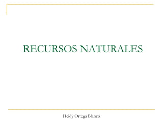 RECURSOS NATURALES

Heidy Ortega Blanco

 