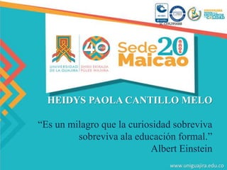 HEIDYS PAOLA CANTILLO MELO
“Es un milagro que la curiosidad sobreviva
sobreviva ala educación formal.”
Albert Einstein
 