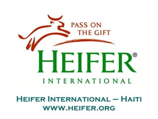 Heifer International – Haiti www.heifer.org 