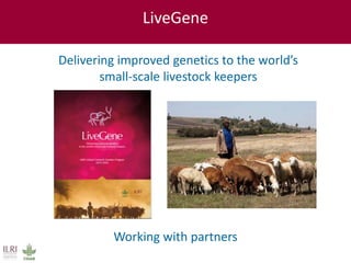 ILRI’s Livestock Genetics Program—LiveGene