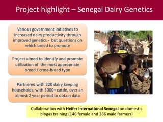 ILRI’s Livestock Genetics Program—LiveGene