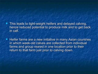  This leads to light-weight heifers and delayed calving,This leads to light-weight heifers and delayed calving,
hence reduced potential to produce milk and to get backhence reduced potential to produce milk and to get back
in calf.in calf.
 Heifer farms are a new initiative in many Asian countriesHeifer farms are a new initiative in many Asian countries
in which week-old calves are collected from individualin which week-old calves are collected from individual
farms and group reared in one location prior to theirfarms and group reared in one location prior to their
return to that farm just prior to calving down.return to that farm just prior to calving down.
 