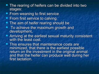  The rearing of heifers can be divided into twoThe rearing of heifers can be divided into two
stages:stages:
 From weaning to first serviceFrom weaning to first service
 From first service to calving.From first service to calving.
 The aim of heifer rearing should beThe aim of heifer rearing should be
 To achieve the maximum growth andTo achieve the maximum growth and
development,development,
 Arriving at the earliest sexual maturity consistentArriving at the earliest sexual maturity consistent
with the least cost.with the least cost.
 This ensures that maintenance costs areThis ensures that maintenance costs are
minimized, that there is the earliest possibleminimized, that there is the earliest possible
return on the investment in the original animalreturn on the investment in the original animal
and that the heifer can produce well during herand that the heifer can produce well during her
first lactation.first lactation.
 