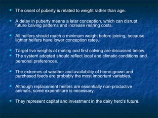  The onset of puberty is related to weight rather than age.
 A delay in puberty means a later conception, which can disrupt
future calving patterns and increase rearing costs.
 All heifers should reach a minimum weight before joining, because
lighter heifers have lower conception rates.
 Target live weights at mating and first calving are discussed below.
 The system adopted should reflect local and climatic conditions and
personal preferences.
 The extremes of weather and availability of home-grown and
purchased feeds are probably the most important variables.
 Although replacement heifers are essentially non-productive
animals, some expenditure is necessary.
 They represent capital and investment in the dairy herd’s future.
 