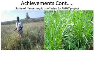 Heifer International MoreMilkiT progress report