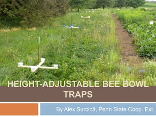 Height-adjustable bee bowl traps By Alex Surcică, Penn State Coop. Ext. 
