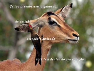 atenção e amizade Se todos soubessem o quanto ... você tem dentro do seu coração.  de carinho...  