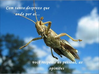 Com tanto desprezo que anda por aí... você respeita as pessoas, as opiniões  