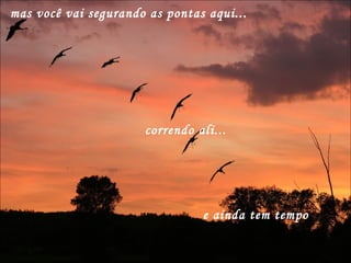 mas você vai segurando as pontas aqui... correndo ali... e ainda tem tempo 