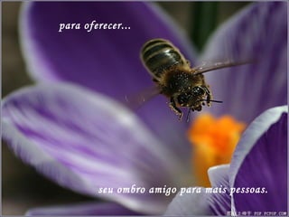 para oferecer... seu ombro amigo para mais pessoas. 