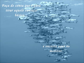 Faça de conta que é para tirar aquele cansaço básico... e encosta aqui no monitor. 