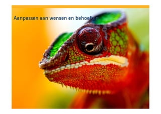 Aanpassen aan wensen en behoeften
Morph+
Heijmans Morph+

 