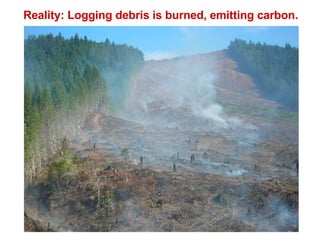 Reality: Logging debris is burned, emitting carbon. 