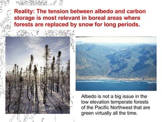 Reality: The tension between albedo and carbon storage is most relevant in boreal areas where forests are replaced by snow...