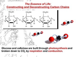 The Essence of Life: Constructing and Deconstructing Carbon Chains Glucose and cellulose are built through  photosynthesis  and broken down to CO 2  by  respiration  and  combustion . 