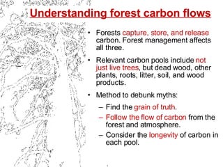 [object Object],[object Object],[object Object],[object Object],[object Object],[object Object],Understanding forest carbon flows 